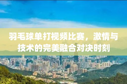 羽毛球单打视频比赛，激情与技术的完美融合对决时刻