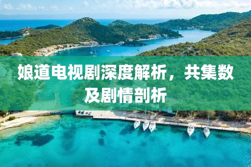 娘道电视剧深度解析，共集数及剧情剖析