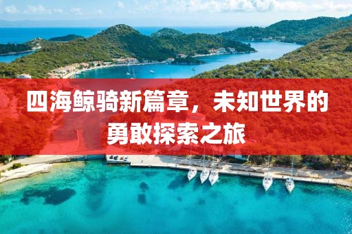 四海鲸骑新篇章，未知世界的勇敢探索之旅