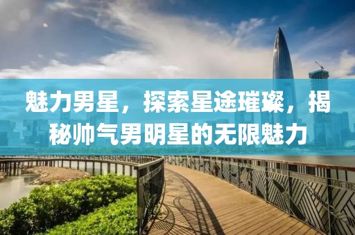 魅力男星，探索星途璀璨，揭秘帅气男明星的无限魅力