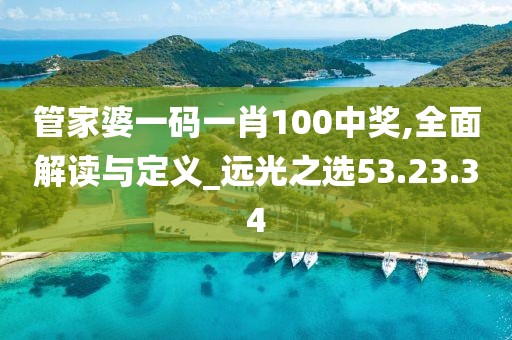 管家婆一码一肖100中奖,全面解读与定义_远光之选53.23.34