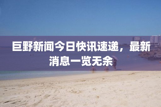 巨野新闻今日快讯速递，最新消息一览无余