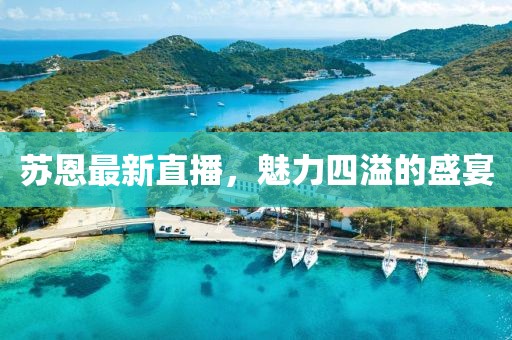苏恩最新直播，魅力四溢的盛宴