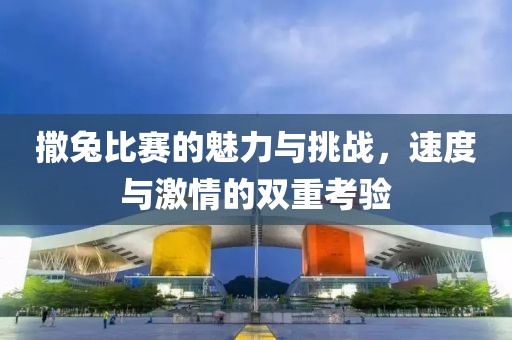 撒兔比赛的魅力与挑战，速度与激情的双重考验