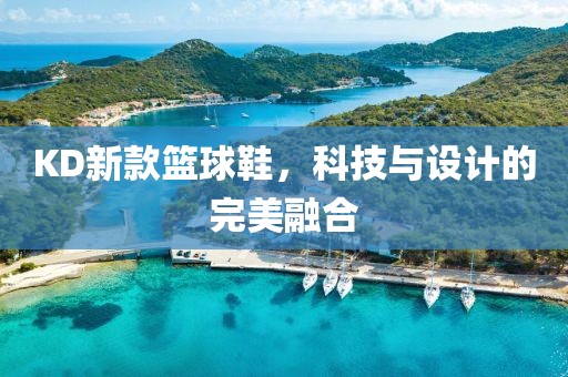 KD新款篮球鞋，科技与设计的完美融合