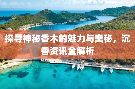 探寻神秘香木的魅力与奥秘，沉香资讯全解析