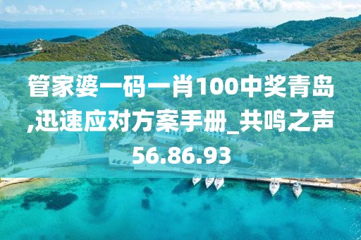 管家婆一码一肖100中奖青岛,迅速应对方案手册_共鸣之声56.86.93