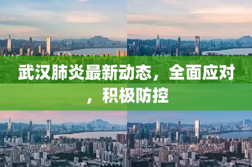 武汉肺炎最新动态，全面应对，积极防控
