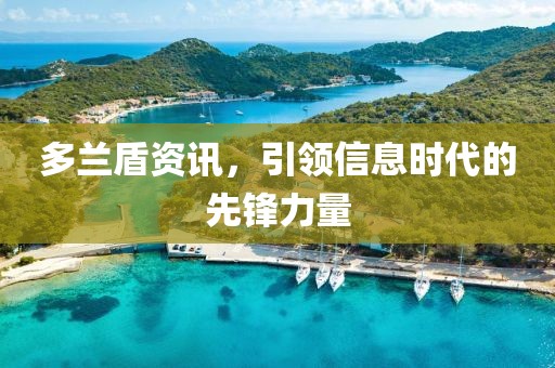 多兰盾资讯，引领信息时代的先锋力量