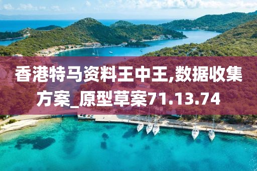 香港特马资料王中王,数据收集方案_原型草案71.13.74