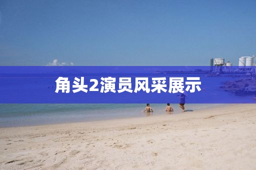 角头2演员风采展示