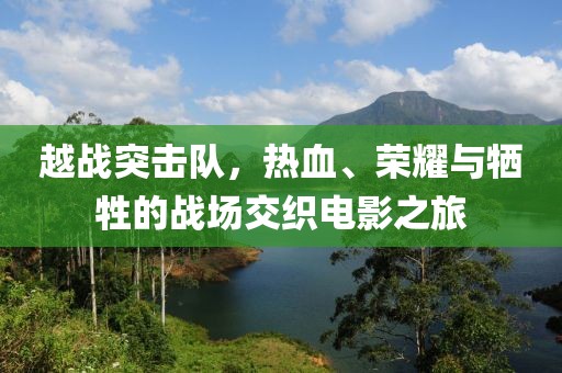 越战突击队，热血、荣耀与牺牲的战场交织电影之旅