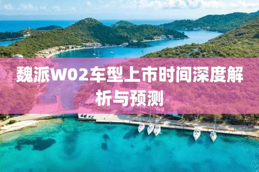 魏派W02车型上市时间深度解析与预测