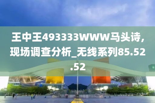 王中王493333WWW马头诗,现场调查分析_无线系列85.52.52