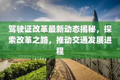驾驶证改革最新动态揭秘，探索改革之路，推动交通发展进程