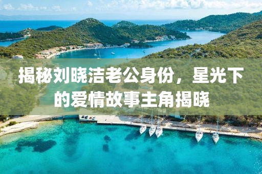 揭秘刘晓洁老公身份，星光下的爱情故事主角揭晓