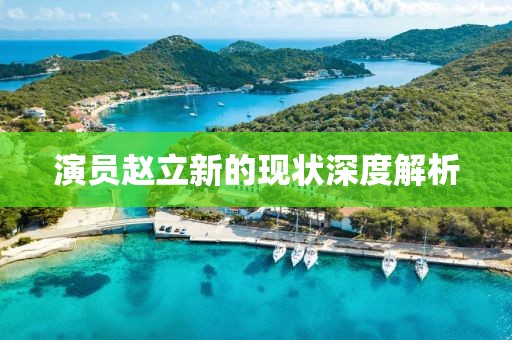 演员赵立新的现状深度解析