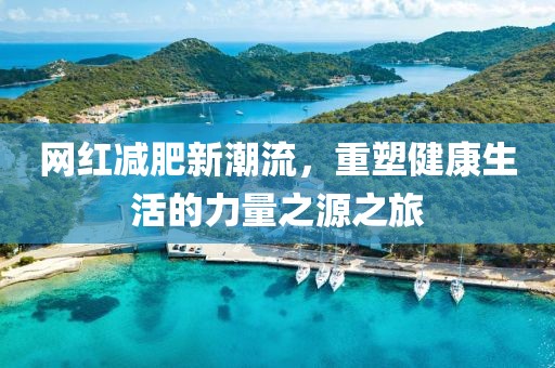 网红减肥新潮流，重塑健康生活的力量之源之旅