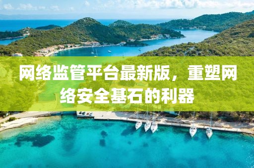 网络监管平台最新版，重塑网络安全基石的利器