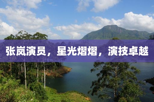 张岚演员，星光熠熠，演技卓越