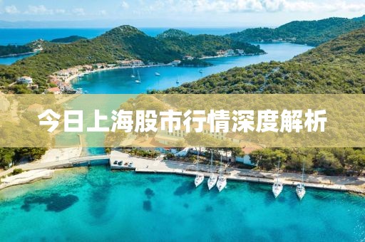 今日上海股市行情深度解析