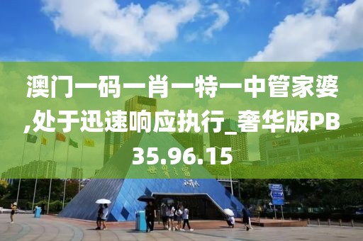 澳门一码一肖一特一中管家婆,处于迅速响应执行_奢华版PB35.96.15
