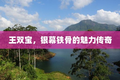 王双宝，银幕铁骨的魅力传奇
