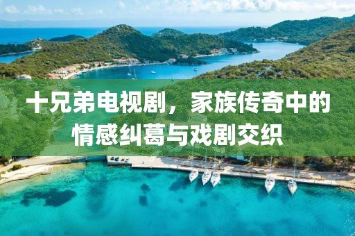 十兄弟电视剧，家族传奇中的情感纠葛与戏剧交织
