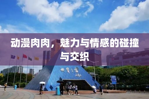 动漫肉肉，魅力与情感的碰撞与交织