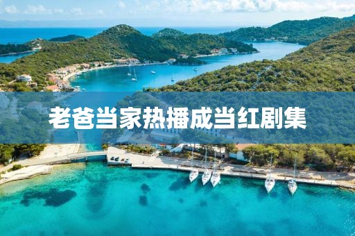 老爸当家热播成当红剧集