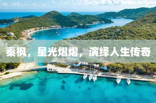 秦枫，星光熠熠，演绎人生传奇