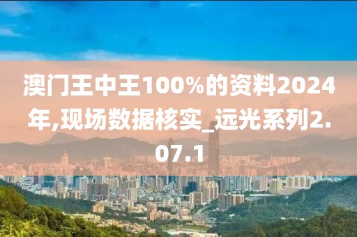 澳门王中王100%的资料2024年,现场数据核实_远光系列2.07.1