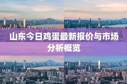 山东今日鸡蛋最新报价与市场分析概览