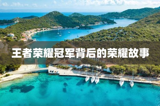 王者荣耀冠军背后的荣耀故事