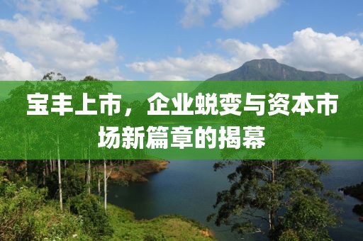 宝丰上市，企业蜕变与资本市场新篇章的揭幕