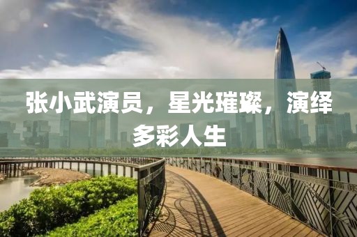 张小武演员，星光璀璨，演绎多彩人生