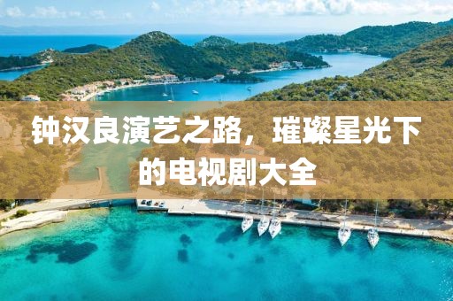 钟汉良演艺之路，璀璨星光下的电视剧大全
