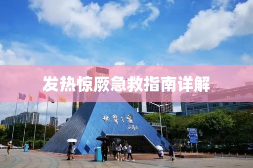 发热惊厥急救指南详解