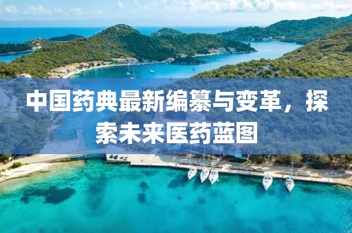 中国药典最新编纂与变革，探索未来医药蓝图