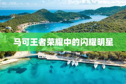 马可王者荣耀中的闪耀明星