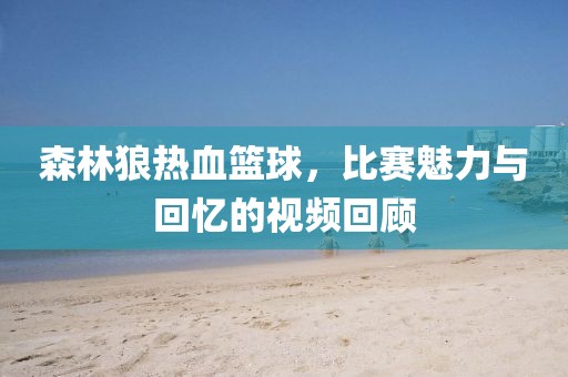 森林狼热血篮球，比赛魅力与回忆的视频回顾
