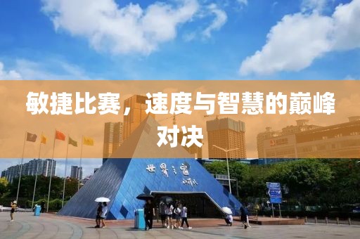 敏捷比赛，速度与智慧的巅峰对决