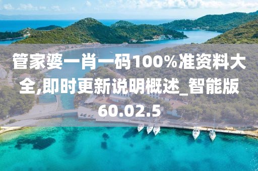 管家婆一肖一码100%准资料大全,即时更新说明概述_智能版60.02.5