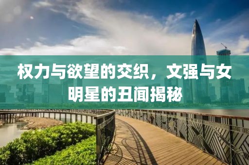 权力与欲望的交织，文强与女明星的丑闻揭秘
