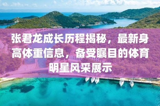张君龙成长历程揭秘，最新身高体重信息，备受瞩目的体育明星风采展示