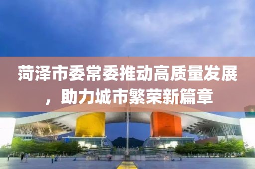 菏泽市委常委推动高质量发展，助力城市繁荣新篇章