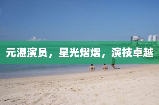 元湛演员，星光熠熠，演技卓越