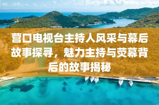营口电视台主持人风采与幕后故事探寻，魅力主持与荧幕背后的故事揭秘