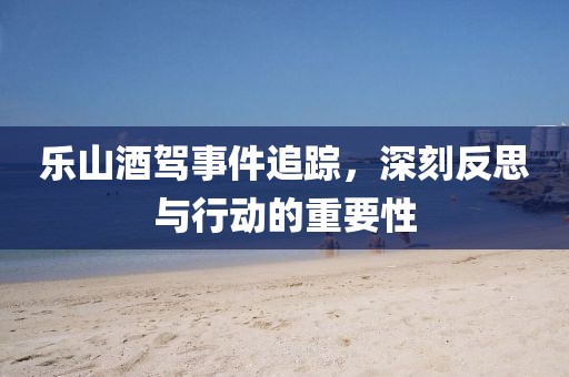 乐山酒驾事件追踪，深刻反思与行动的重要性