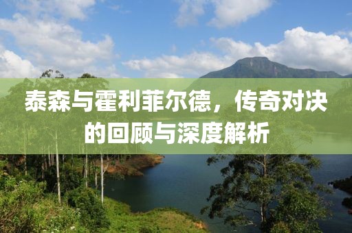 泰森与霍利菲尔德，传奇对决的回顾与深度解析